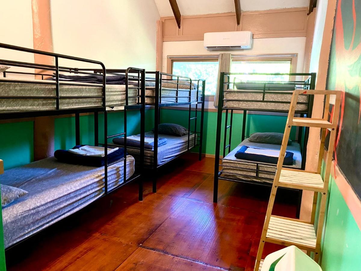 Bed in 6-Bed Mixed Dormitory Room,1557781909:JPEG
